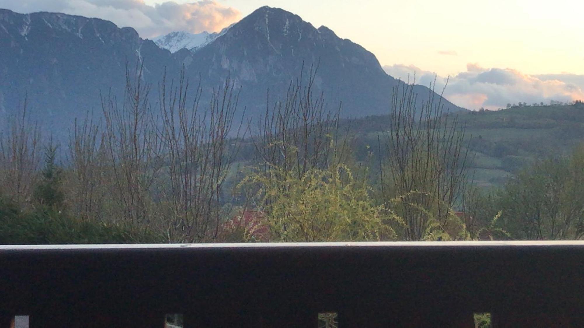 Pension Chalet Poiana Marului Ranch Eksteriør bilde