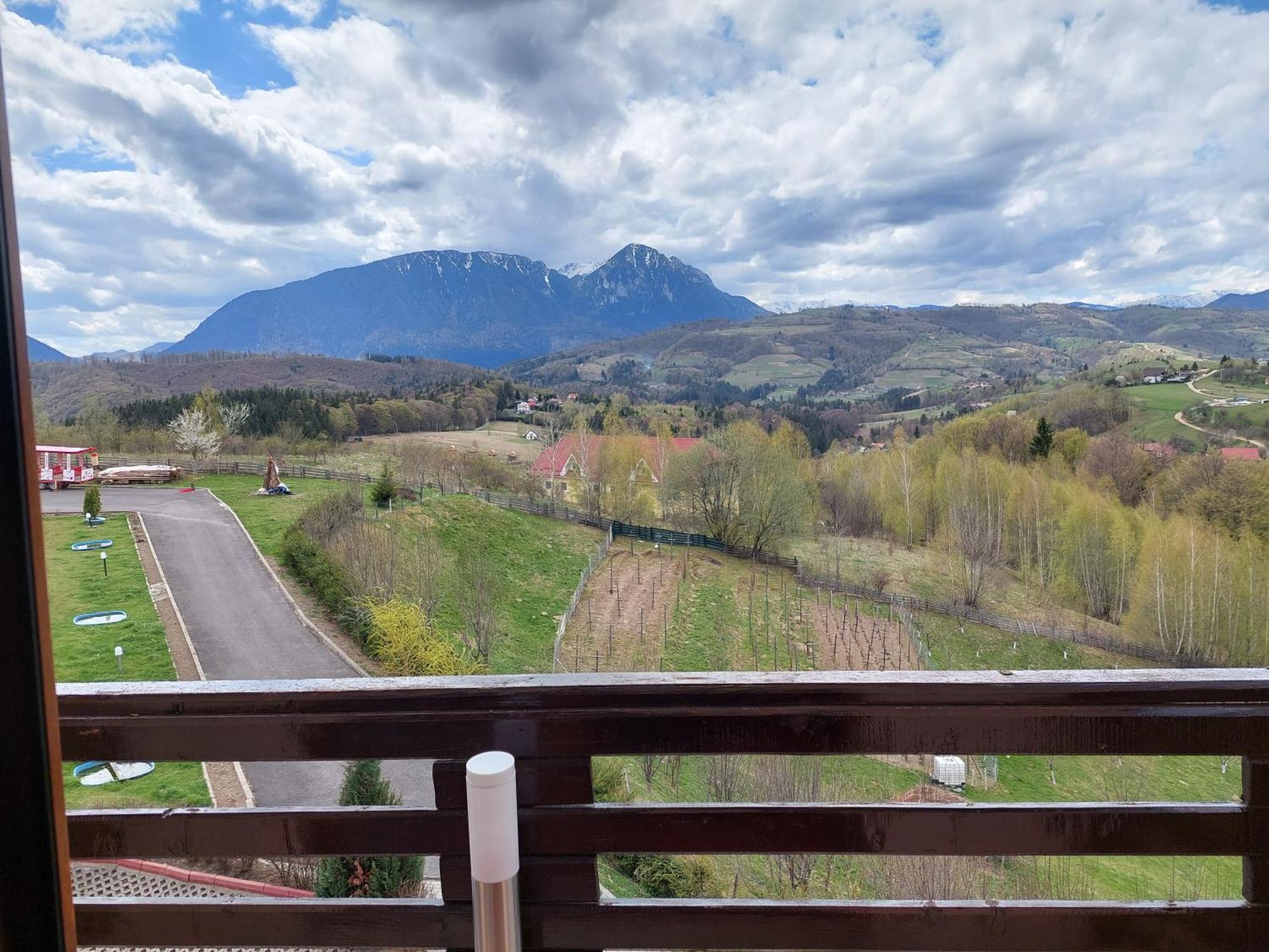Pension Chalet Poiana Marului Ranch Eksteriør bilde